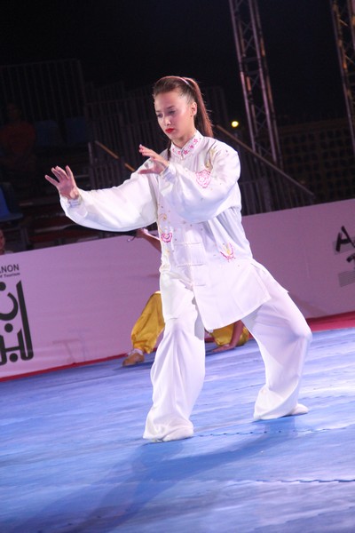 Martial Arts Festival